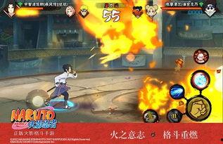 漂泊忍者爆料视频在线观看,独家内容在线观看  第1张